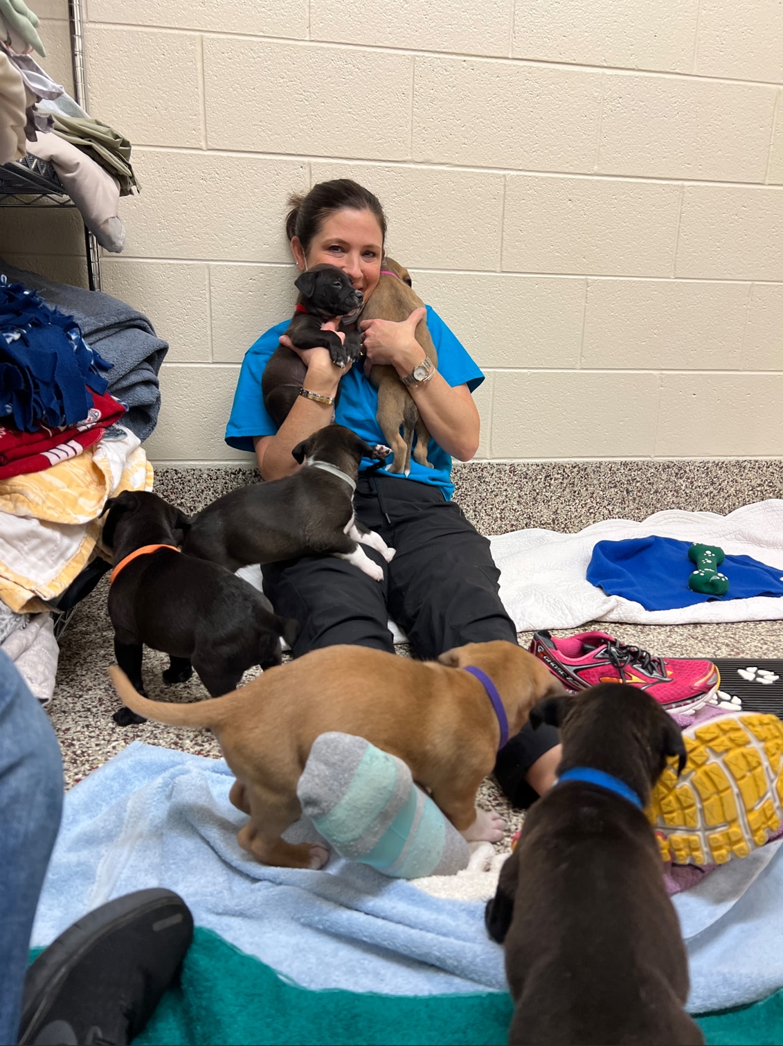 Lisa, Jim’s wife, gets swarmed by puppies while volunteering with Michigan Humane.